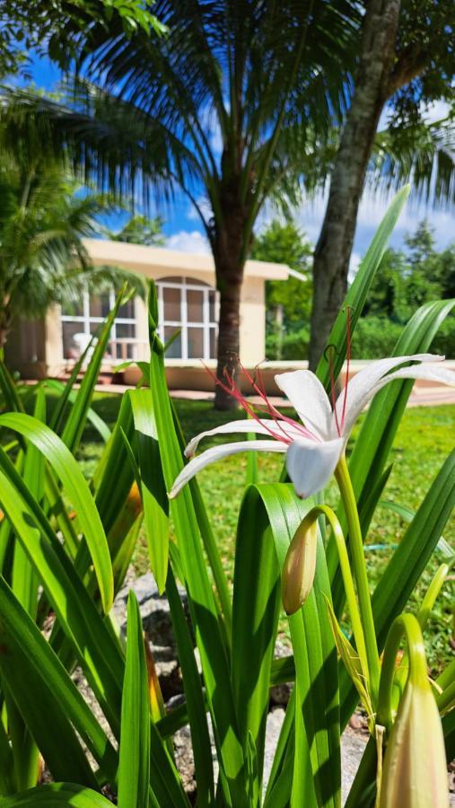 Casita Del Arco El Cedral Cozumel